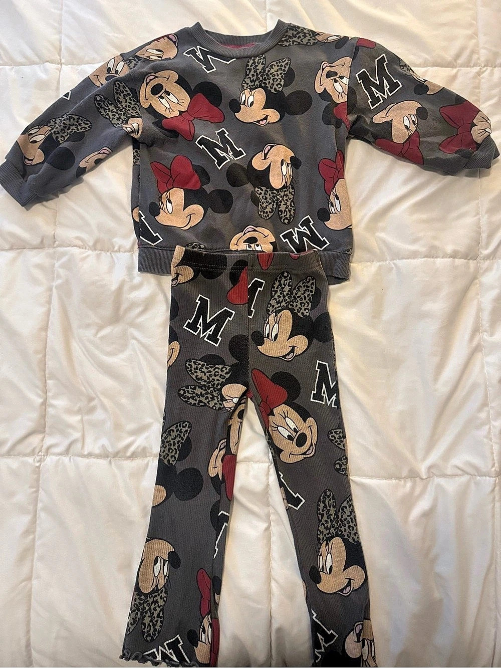 Disney Minnie Mouse Girls 4T Gray & Red Casual Set